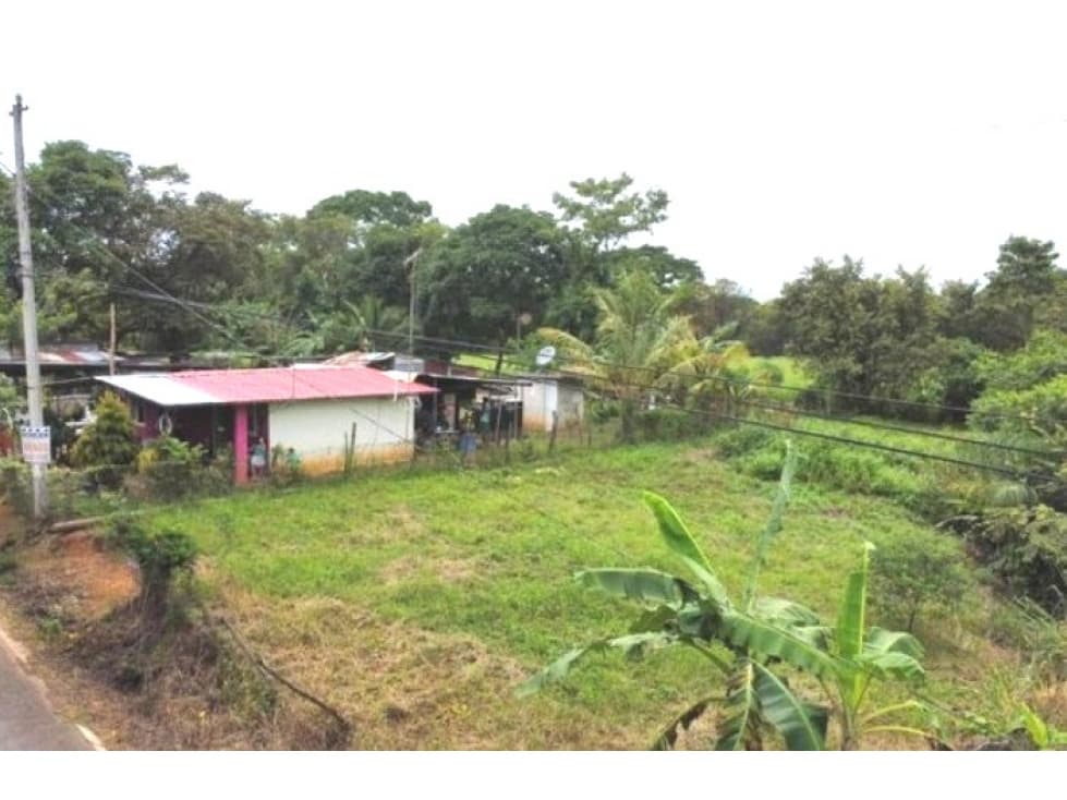 VENTA DE TERRENO EN PARITA - CABUYA VÍA LOS OLIVOS - 1