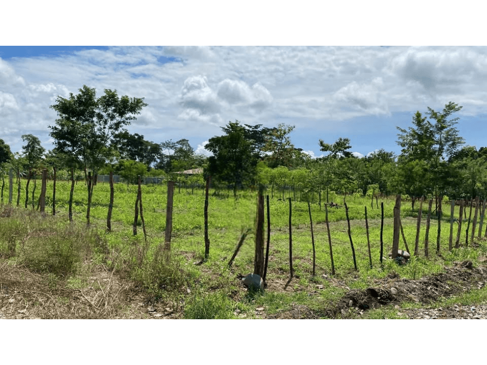 Vendo Lote Titulado Boqueron orilla de carretera - 1