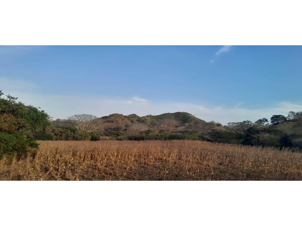 VENTA DE TERRENO EN HERRERA - 19 HEC - 1