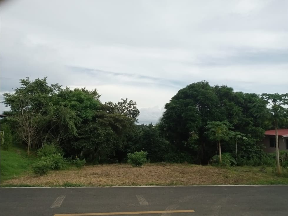 VENTA DE TERRENO EN EL VALLE DE CERRO AZUL cv - 1