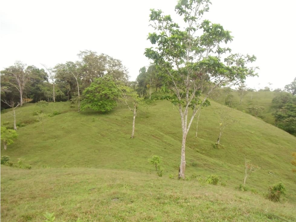 Se VENDE Finca en La Pintada, Coclé - 1