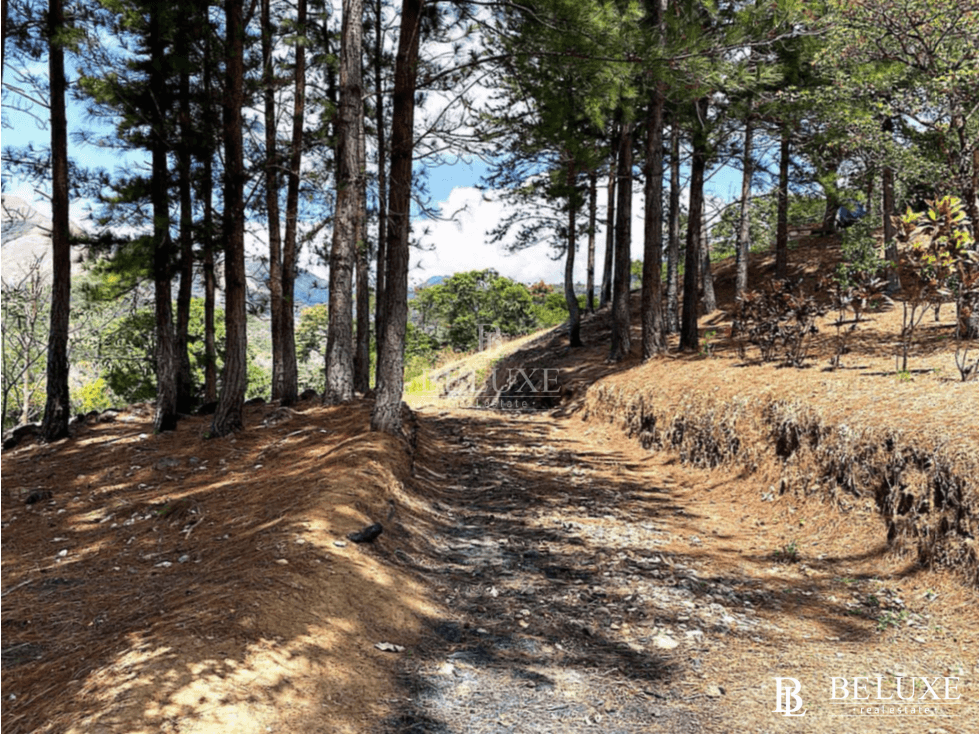 VENDO TERRENO/ LOTE PARA DESARROLLO EN VALLE DE ANTON (6) - 1