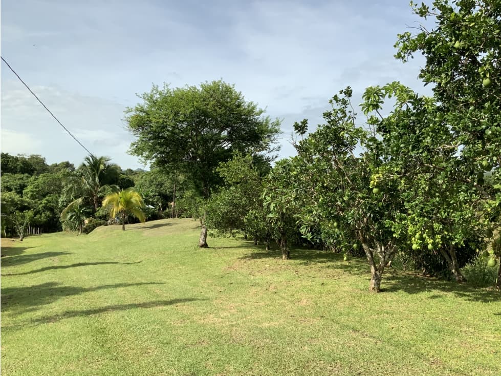 VENTA DE FINCA EN HERRERA, SECTOR OCU A ORILLA DE CARRETERA - 1
