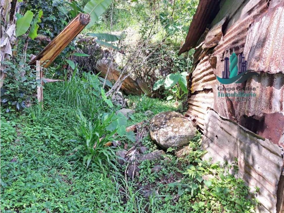 Finca de 2 hectáreas a 1300 metros altura - 1