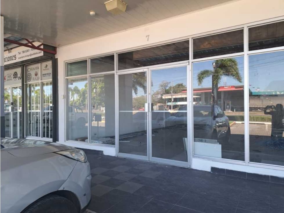 LOCAL COMERCIAL VIA PANAMERICANA - 1