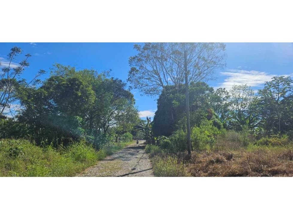 SE VENDE FINCA 1 HAZ CON 1119 METROS VIA ALANJE - 1
