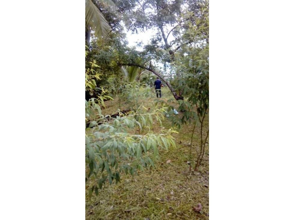 TERRENO JUAN DIAZ - 1