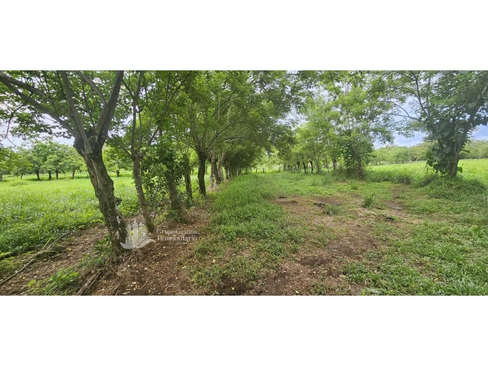 VENDO 14000 METROS EN.URB SAN ANTONIO - 1