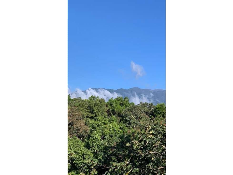 VENDO CASA A 1000M.S.N.M. Y 4000MTS BOQUETE - 1