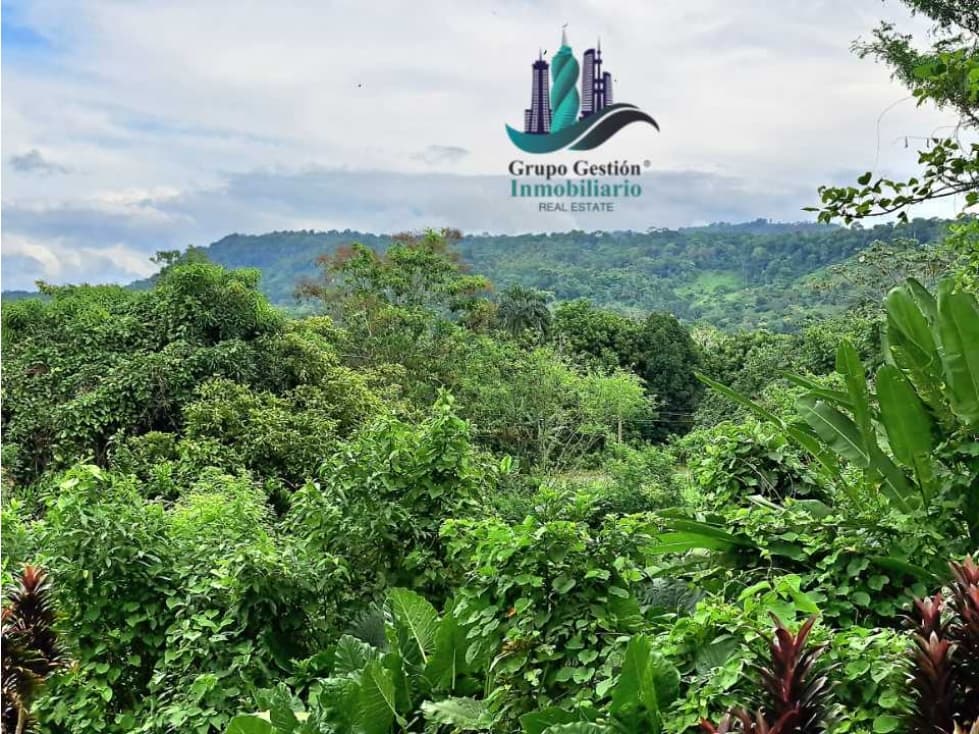 VENDO CASA Y LOTE DE 1508M2 PRECIO NEGOCIABLE - 1