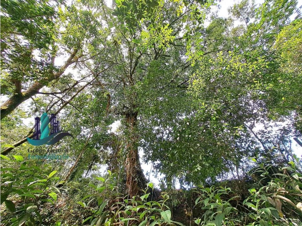 VENDO CASA Y TERRENO DE 1856M2 BORDEADO X RIO EN BOQUERON - 1