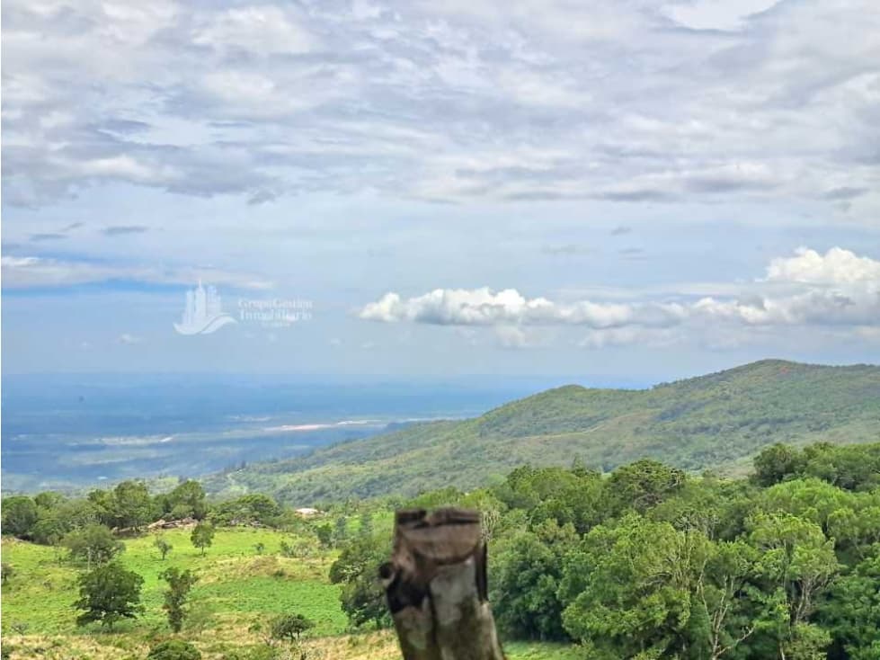 VENDO FINCA DE 2HECTAREAS + 2040M2 ALTO JARAMILLO - 1