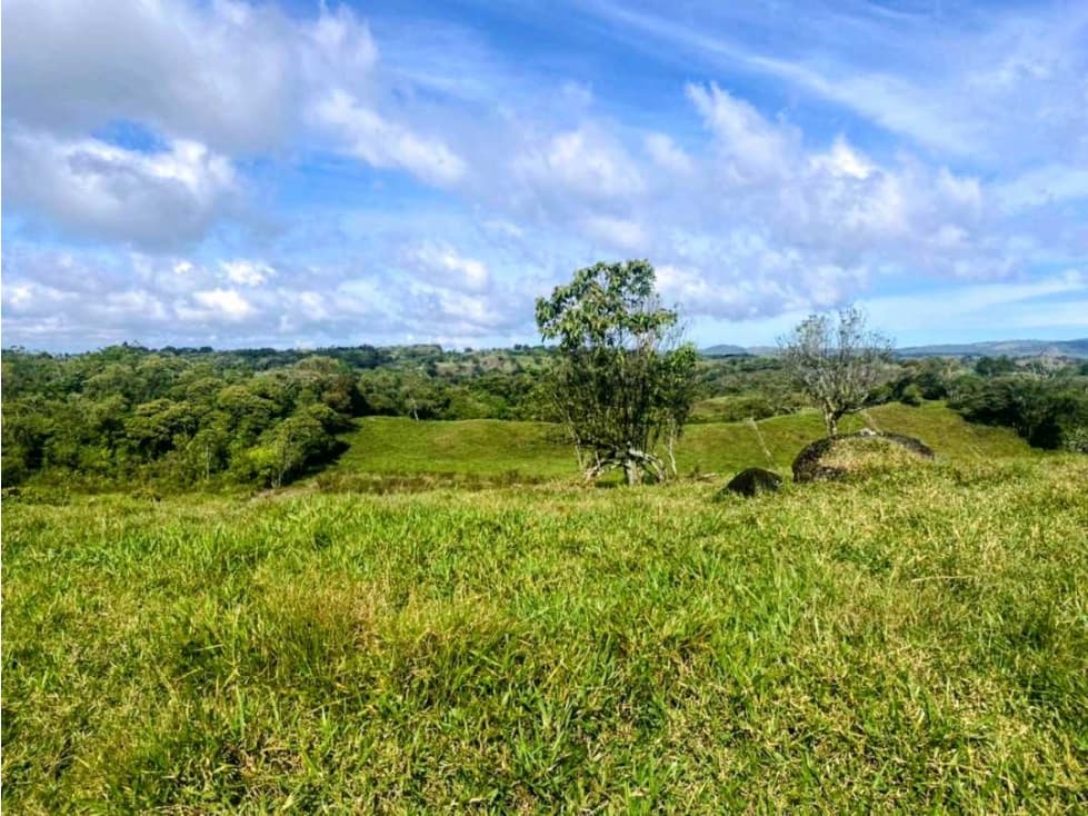 Vendo hermosa finca de 2 hectáreas en Volcán, Tierras Altas - 1