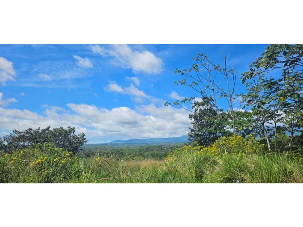 VENDO LOTE COMERCIAL EN BQOUETE - 1