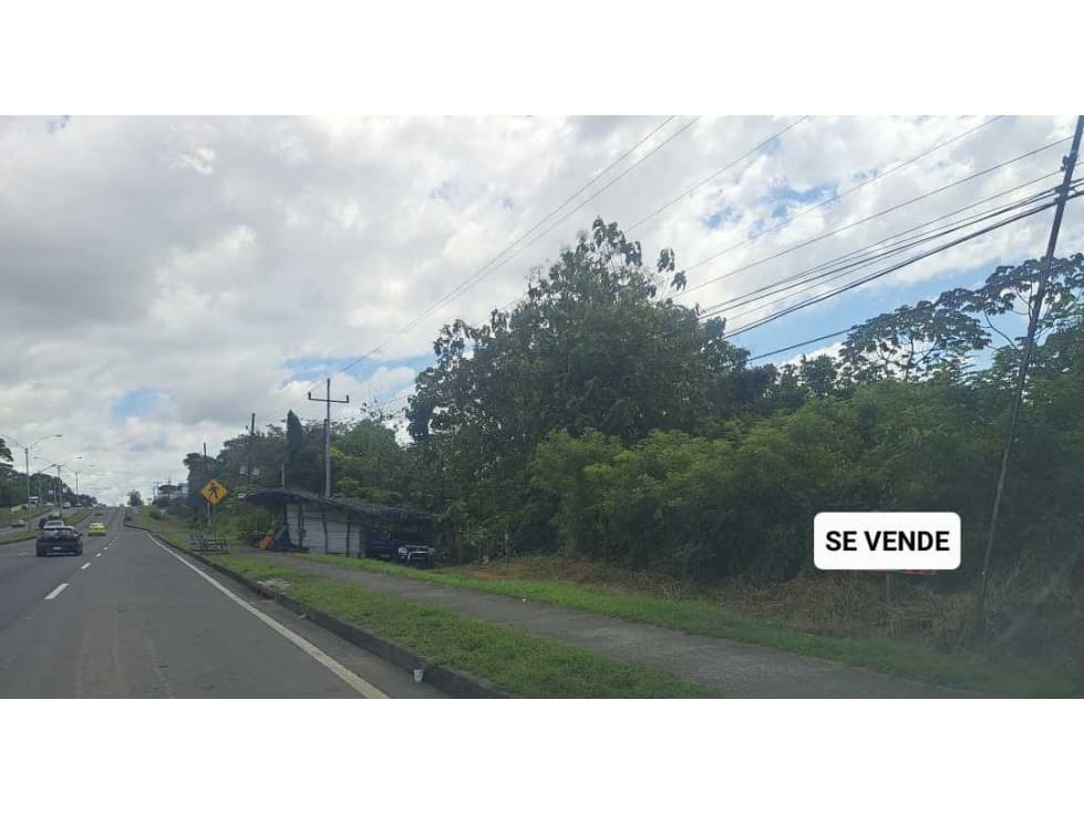 VENDO LOTE COMERCIAL EN VÍA PANAMERICANA - 1
