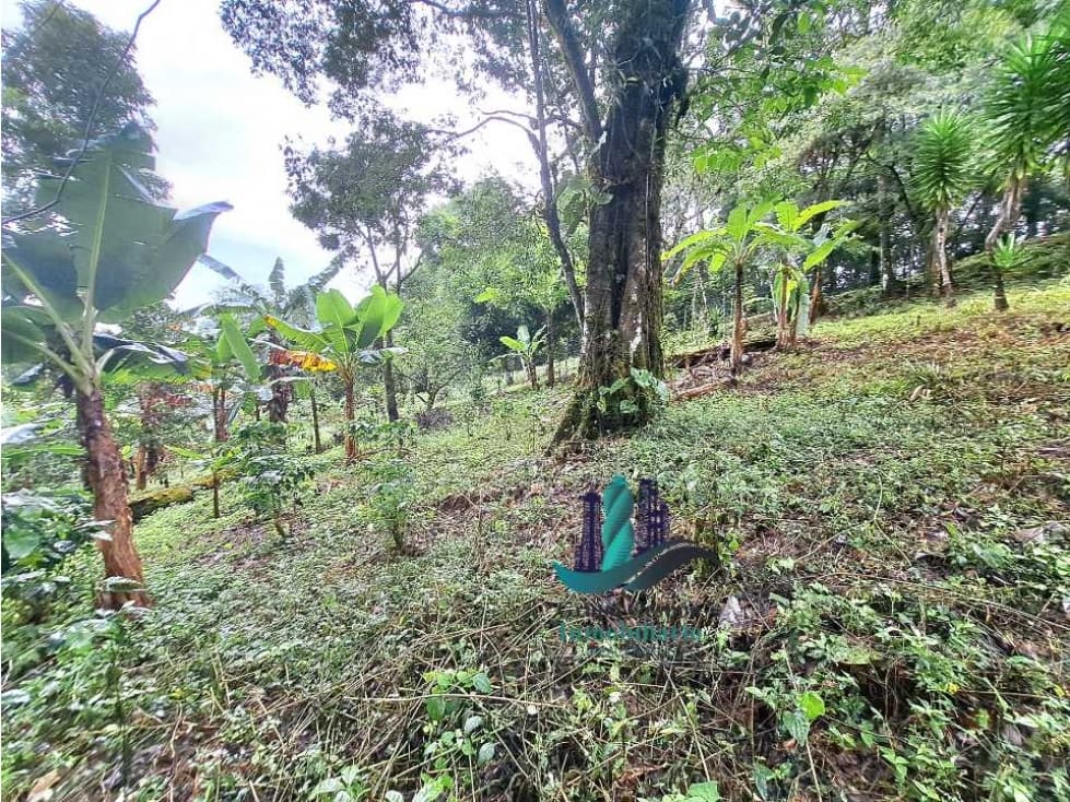 VENDO LOTE DE 2000M2 EN DERECHO POSESORIO - 1