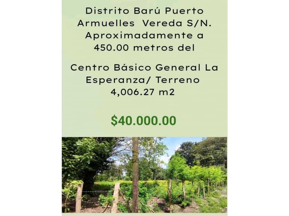 VENDO LOTE DE 4006MTS PUERTO ARMUELLES - 1