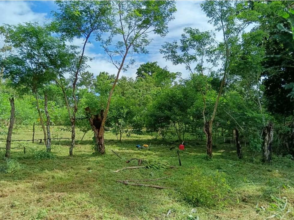 VENDO LOTE EN CHIRIQUÍ TEJAR DE ALANJE - 1