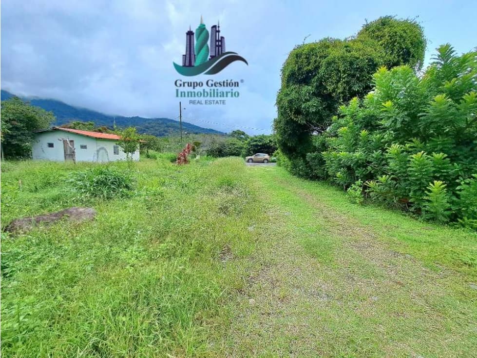 VENDO TERRENO DE 1HECTAREA + EN BAJO BOQUETE - 1