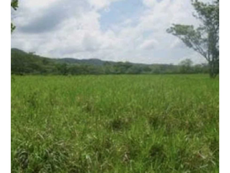 Vendo terreno en Chepo Panamá - 1
