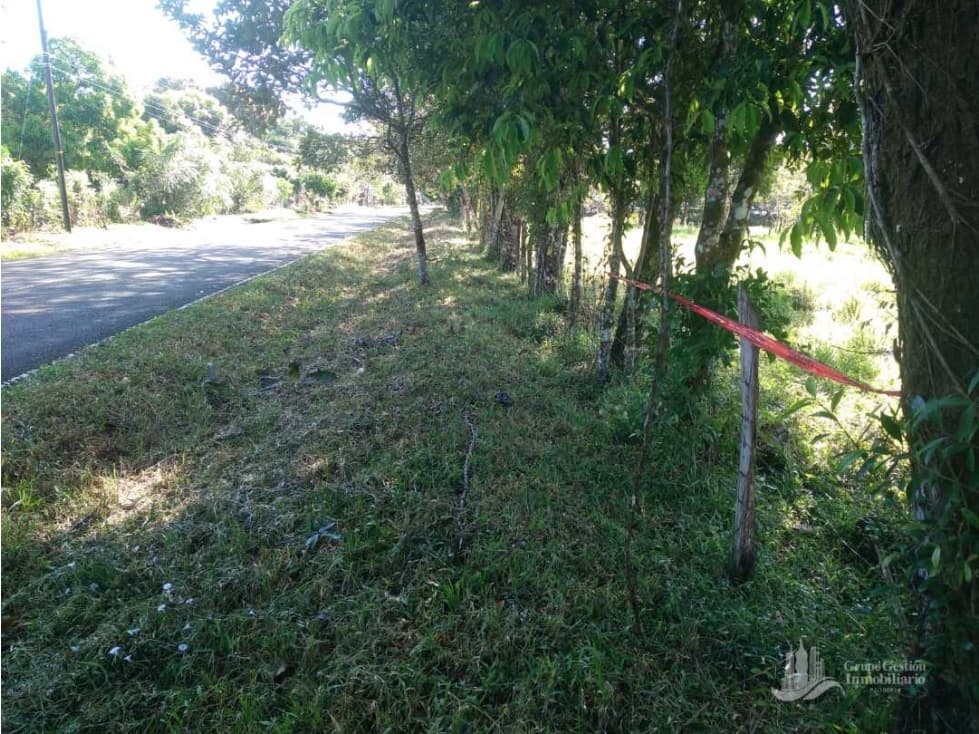 VENDO.FINCA DE. 1 HAS EN.GUAYABAL CHIRIQUÍ - 1