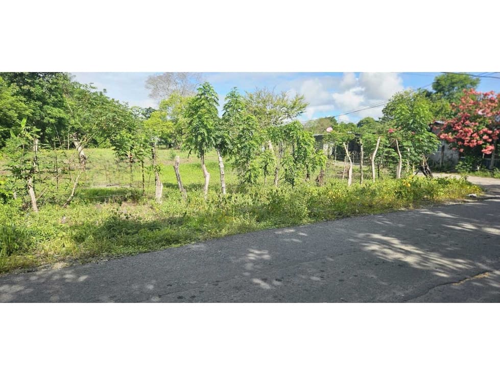 VENDO.LOTE DE 2041 M EN ALANJE - 1