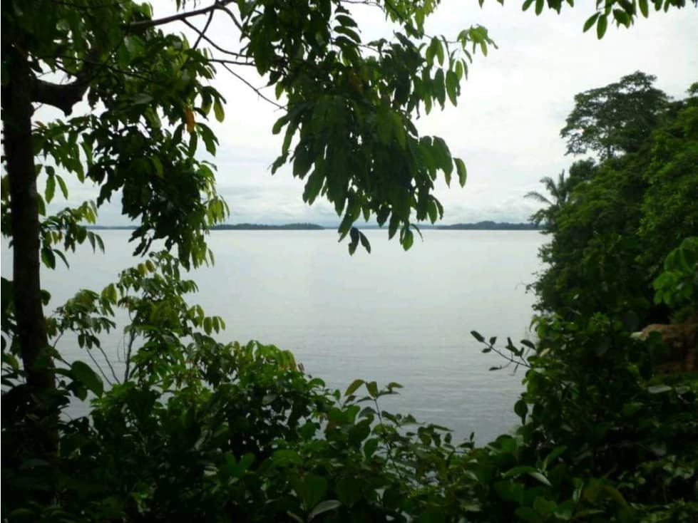 VENTA DE FINCA EN COLON EN ESCOBAL COSTA ABAJO DE PROVINCIA DE COLON - 1
