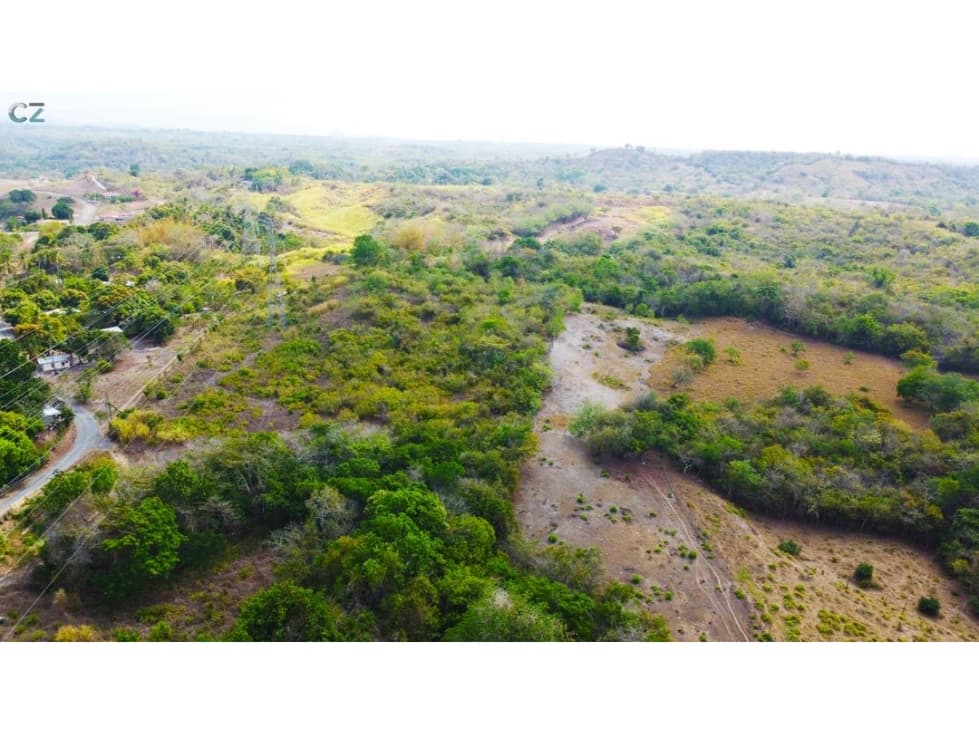 Venta de finca Las uvas San Carlos - 1