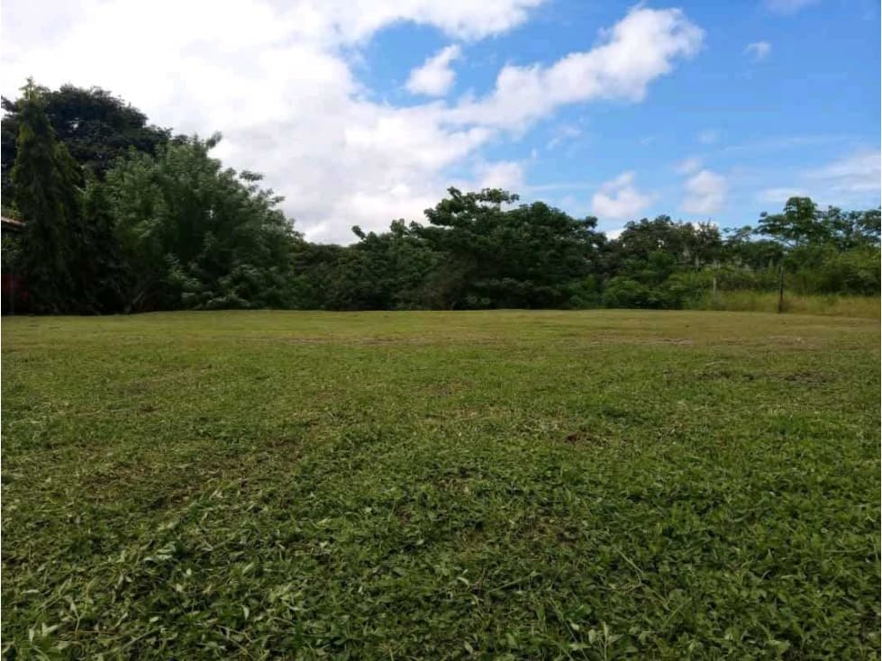 VENTA DE LOTE EN LAS UVAS VALLE LOS LIRIOS EN SAN CARLOS - 1