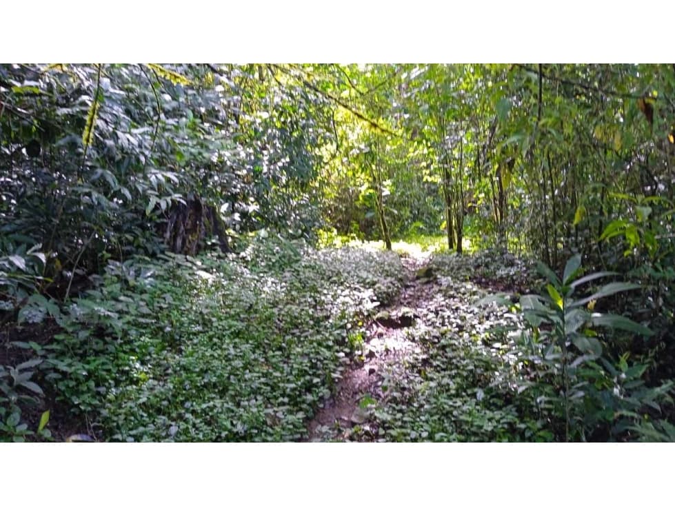 VENTA DE TERRENO EN ALTO BOQUETE - 1