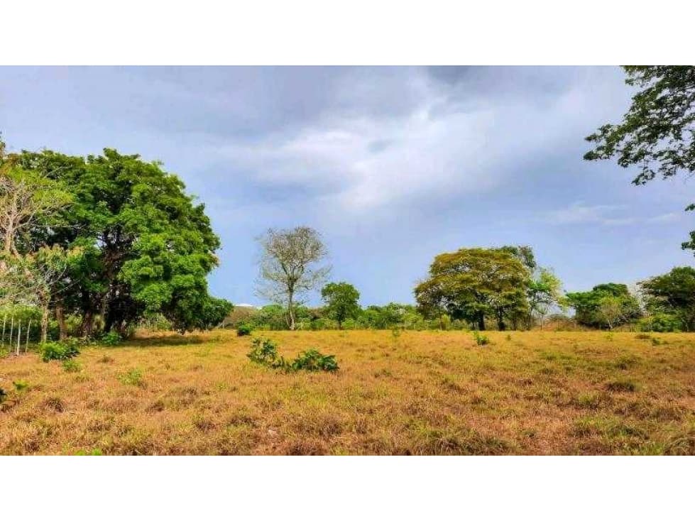VENTA DE TERRENO EN MARIATO DE VERAGUAS, A 250 MTS DE PLAYA REINA - 1