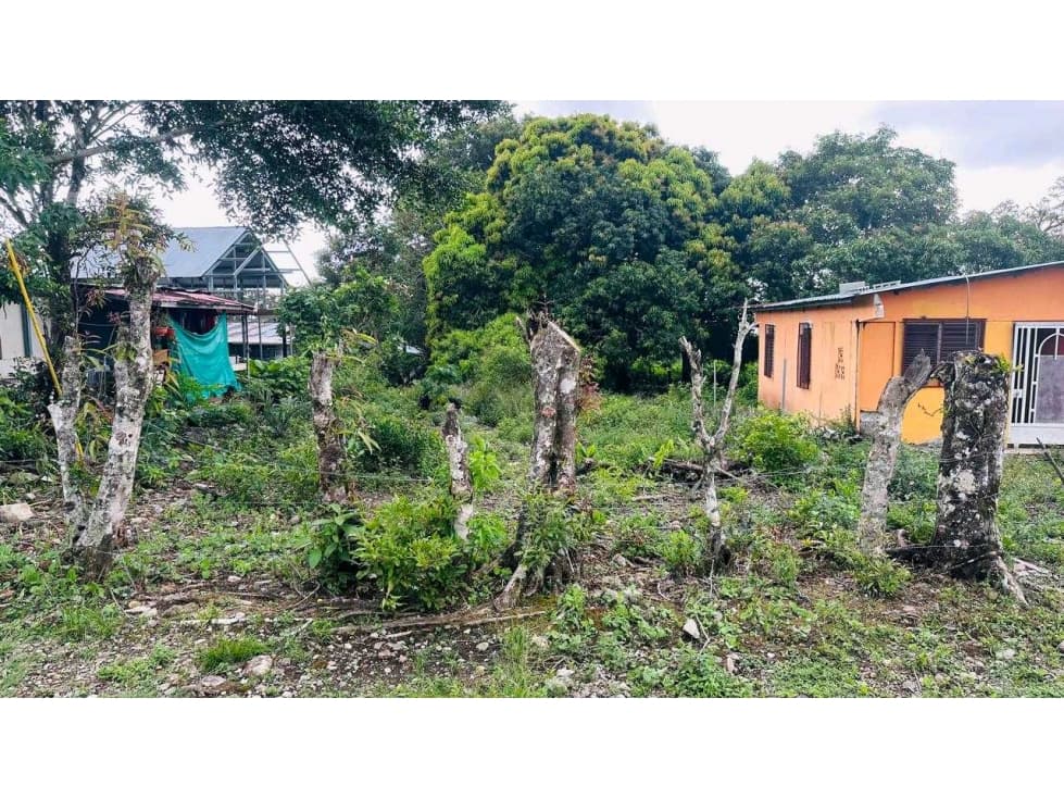 VENTA FINCA EN BOQUETE BRISAS BOQUETEÑAS A PASOS DE LA INTERAMERICANA - 1