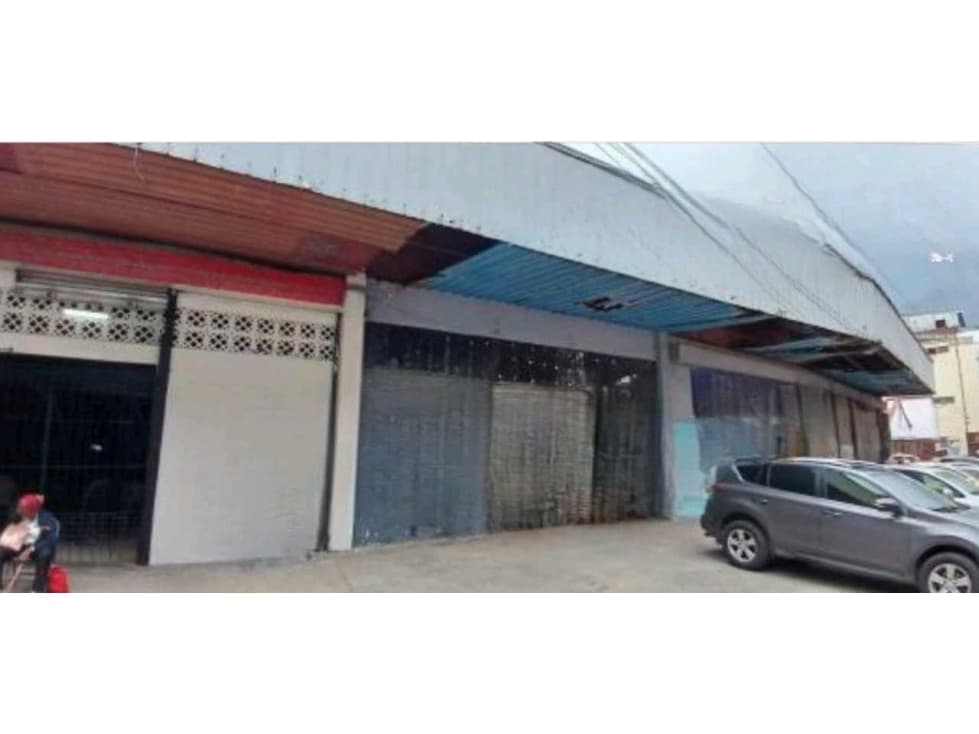 VENTA LOTE O PLAZA COMERCIAL A PASOS DE AVE CENTRAL EN CALIDONIA - 1