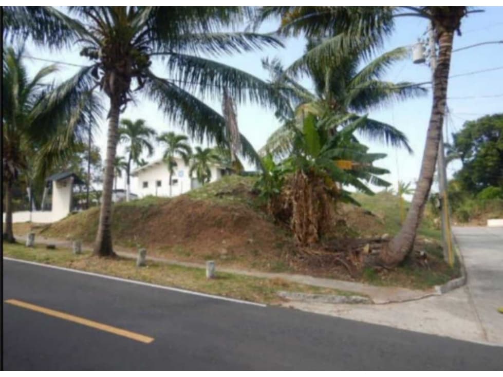 VENTA TERRENO 2.000MTS2 CHANIS PARA DESARROLLO DE PROYECTO - 1