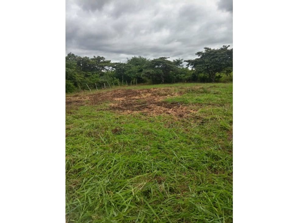 VENTA TERRENO CAÑAVERAL PENONOMÉ COCLE GRAN OPORTUNIDAD - 1