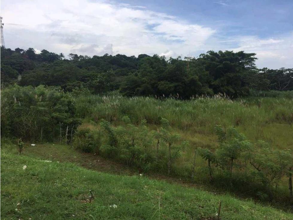 VENDO TERRENO DE 5.4 HECTÁREAS EN COLÓN IDEAL PARA DESARROLLO - 1