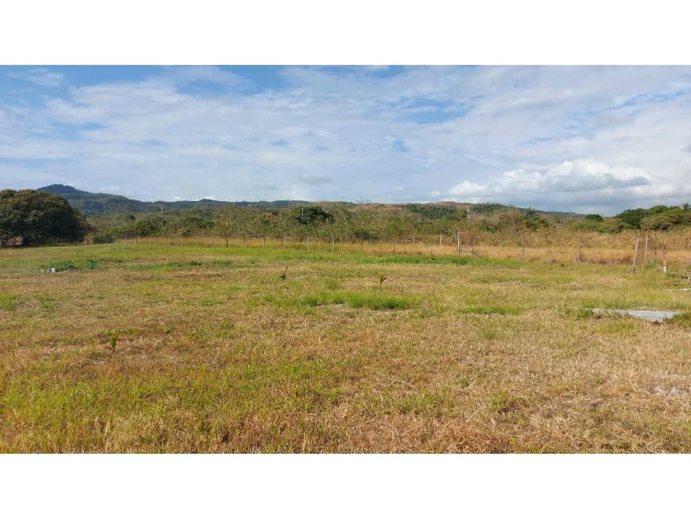 VENTA TERRENO EN AGUAS BLANCAS PENONOMÉ - 1
