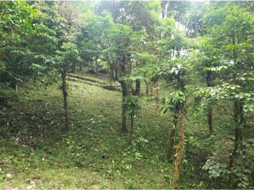 VENTA TERRENO EN ALTOS DEL MARIA - 1