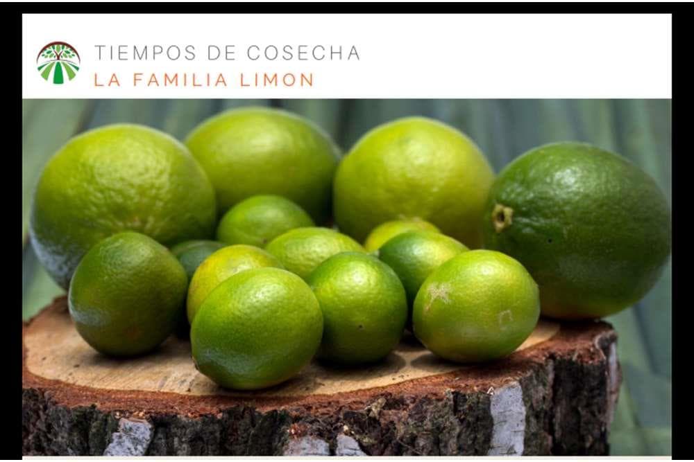 SIMPLY NATURAL FARMS, oportunidad de INVERSI?ìN sustentable, lotes des - 1