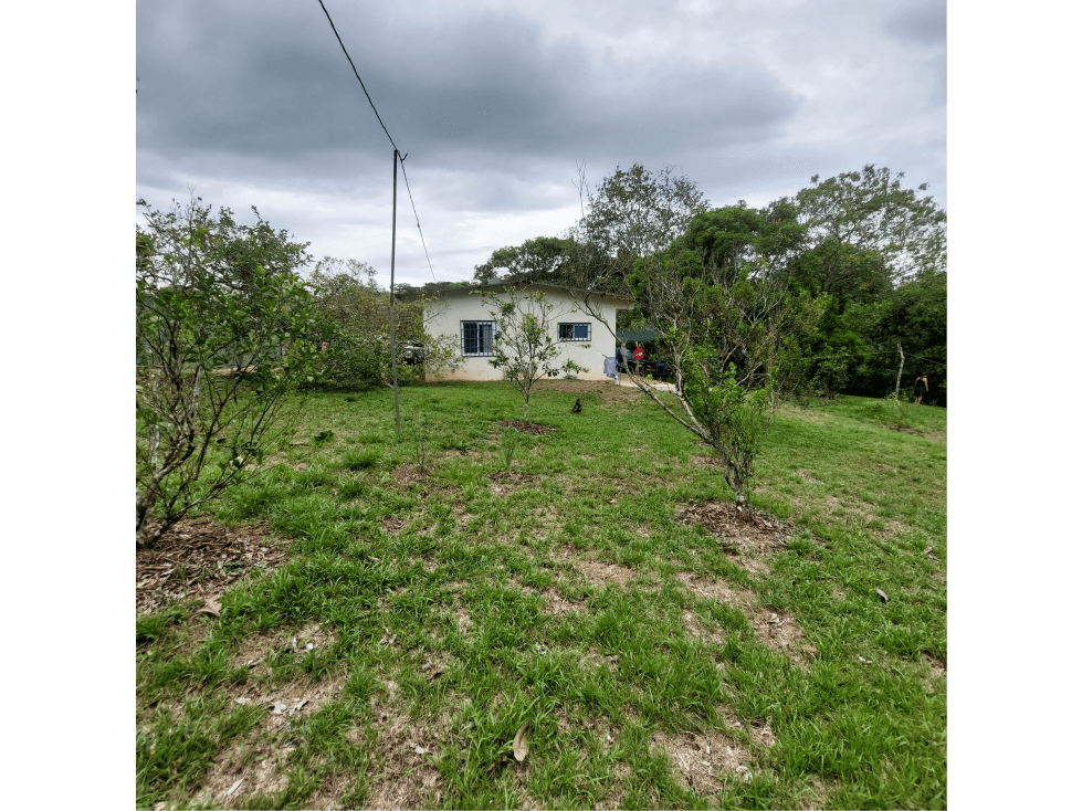 Terreno en Venta en Penonomé - 1