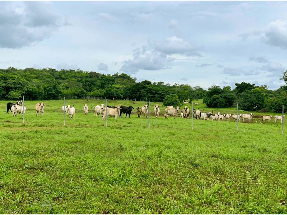 Finca en venta de 58.6 Has en Veraguas Santiago (DR) - 1