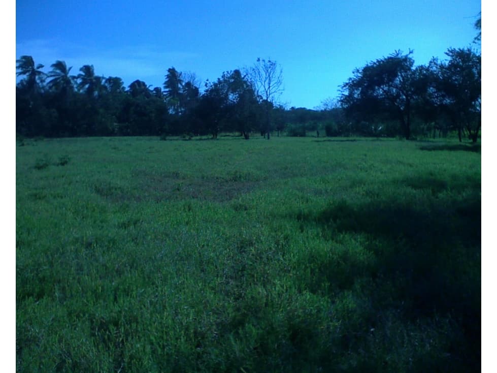 FINCA CHIRU JUAN HOMBRON COCLE (CP) - 1