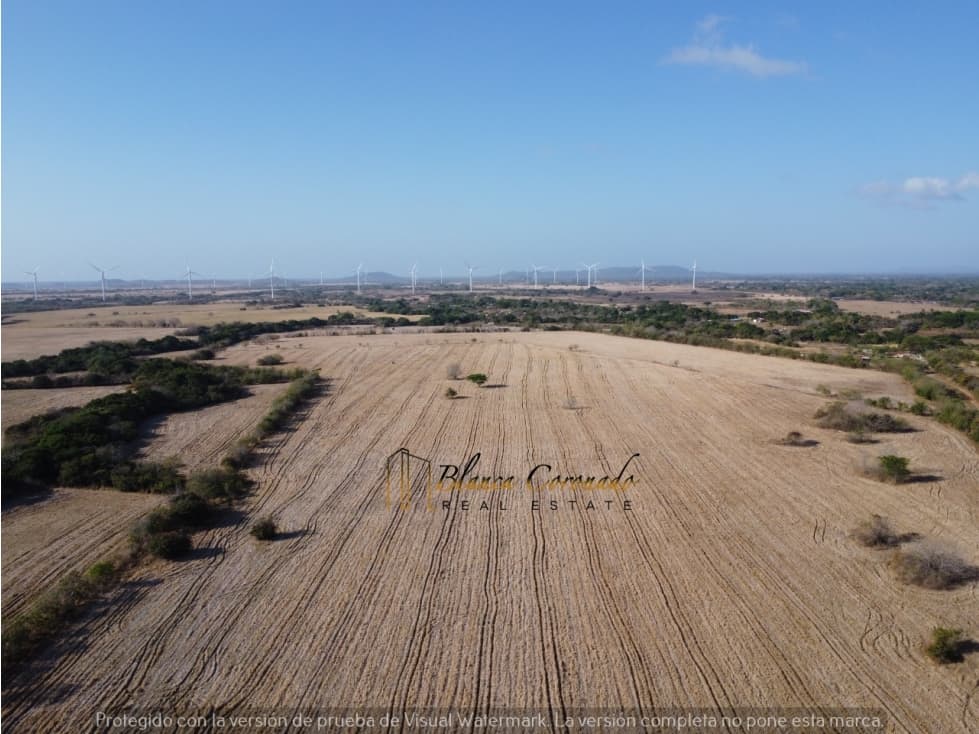 TERRENO EN VENTA EN PENONOME CERCA DEL PARQUE EOLICO - 1
