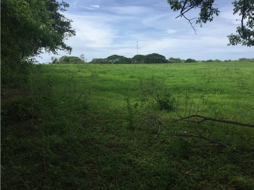 SE VENDE TERRENO EN GUARARE - EXCELENTE UBICACIÖN - 1