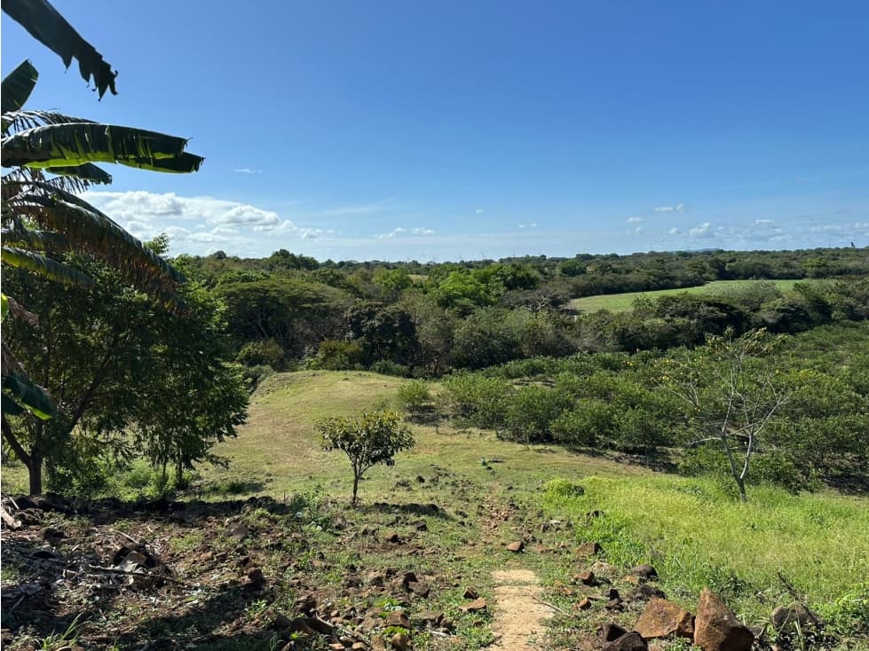 Se vende Finca en Cañaveral, Coclé - 1