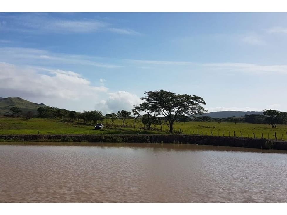 Se vende finca en Penonomé, Coclé - 1