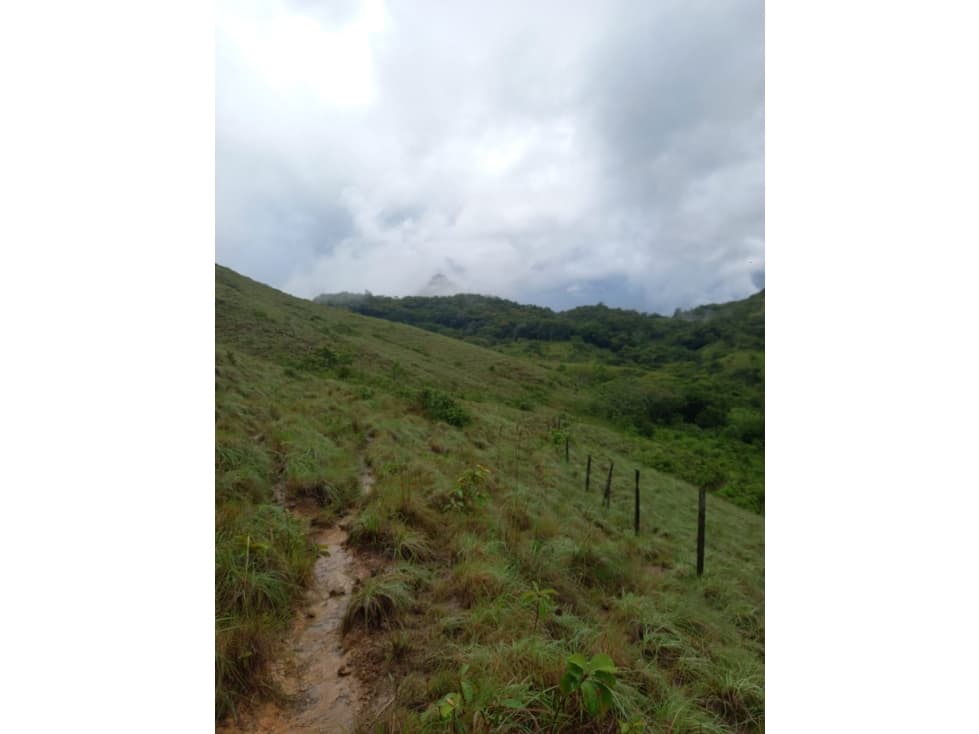Venta de Terreno en Penonomè - La Pintada - 1