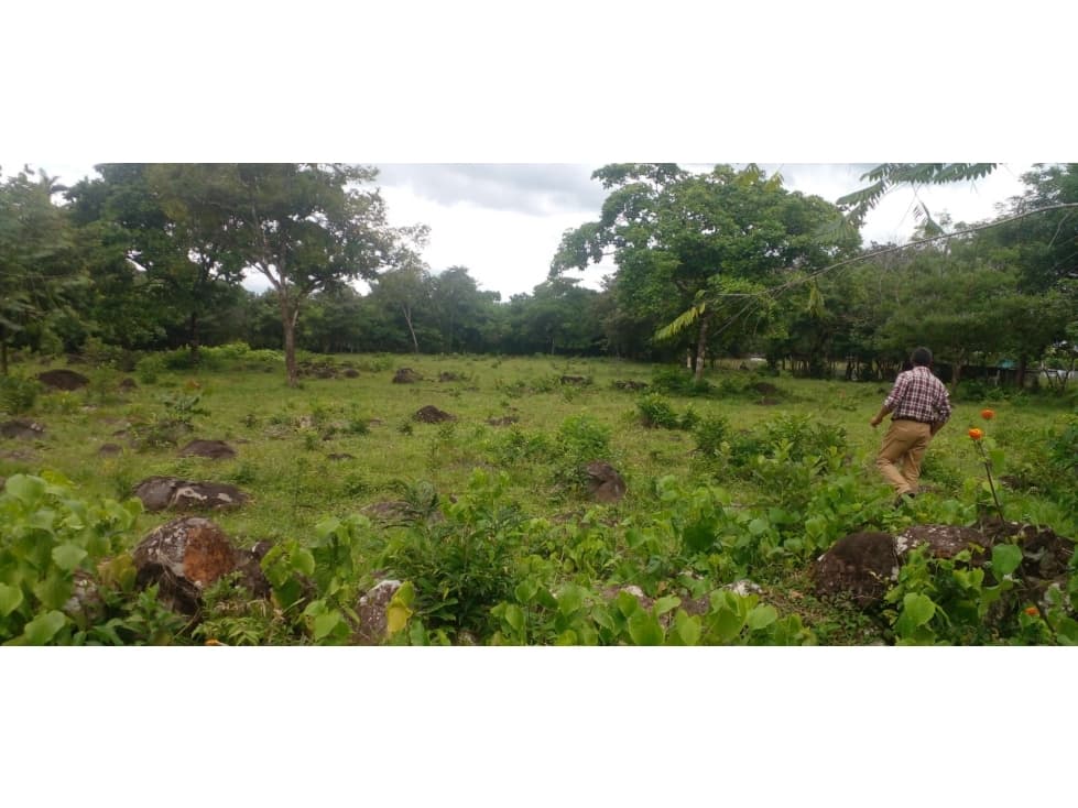 Venta de lotes en Las Cañas en Dolega Chiriquí - 1