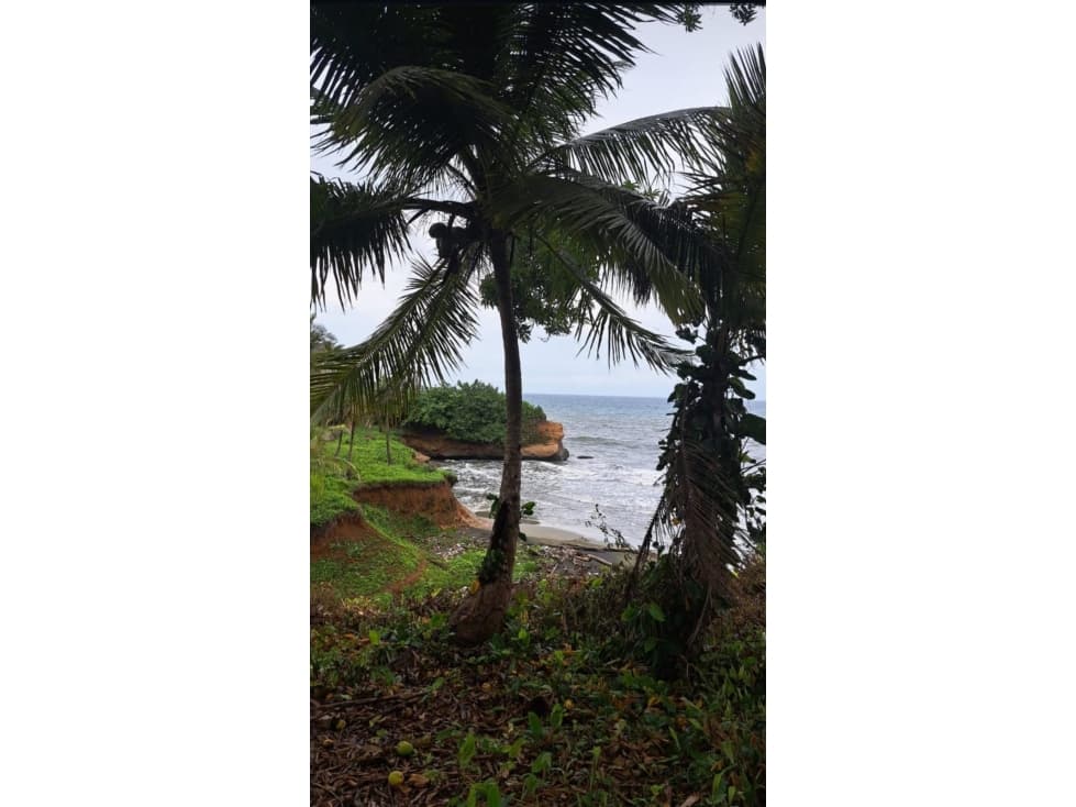 VENTA DE TERRENO DE PLAYA EN COLON PALMAS BELLAS - 1