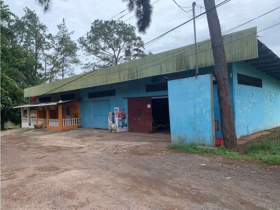 VENTA DE APARTAMENTOS DE ALQUILER Y AREA COMERCIAL - 1